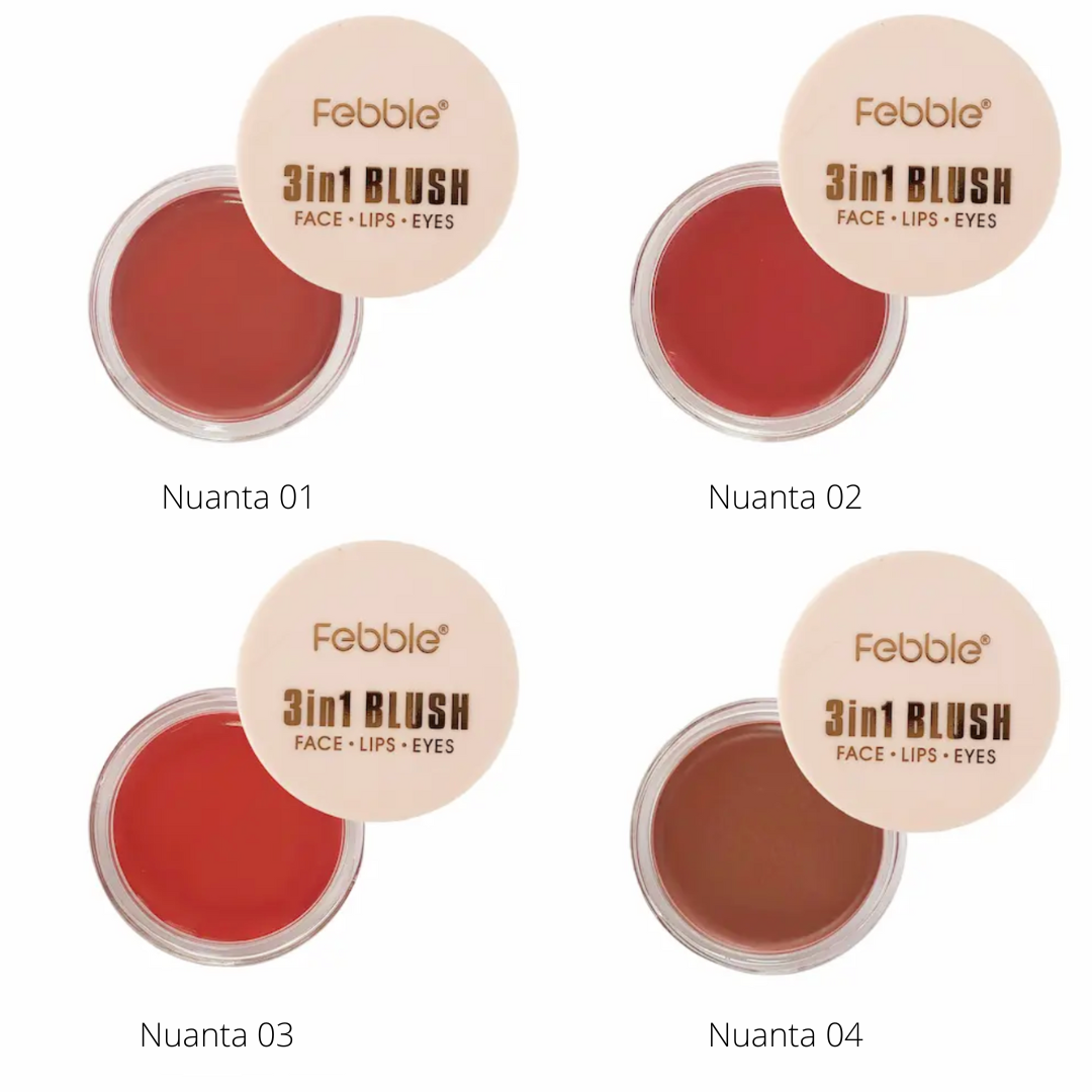 Blush 3 in 1 FEBBLE